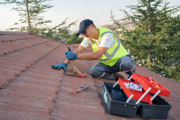 Best Metal Roofing Contractor  in Seaford, DE
